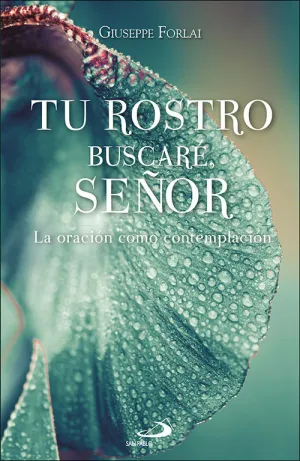 TU ROSTRO BUSCARÉ, SEÑOR