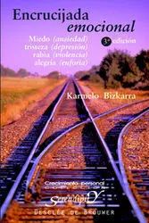 ENCRUCIJADA EMOCIONAL. MIEDO, TRISTEZA, RABIA, ALEGRÍA ENCRUCIJADA EMOCIONAL. MIEDO, TRISTEZA, RABIA, ALEGRÍA
