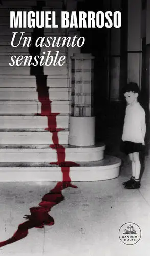 UN ASUNTO SENSIBLE