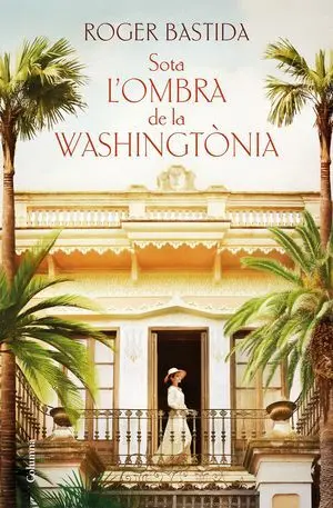SOTA L'OMBRA DE LA WASHINGTÒNIA