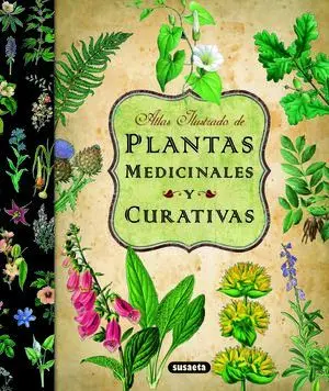 PLANTAS MEDICINALES Y CURATIVA