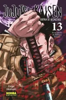 JUJUTSU KAISEN, 13
