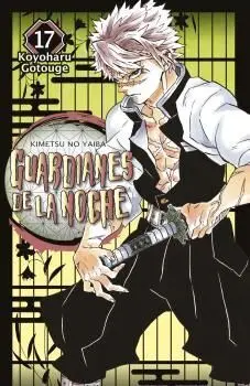 GUARDIANES DE LA NOCHE, 17 (CAMBIO PVP)