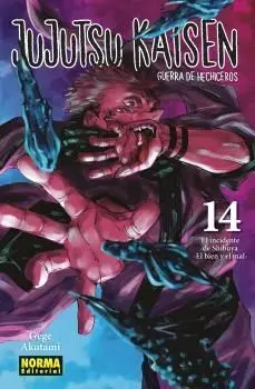 JUJUTSU KAISEN:GUERRA DE HECHICEROS