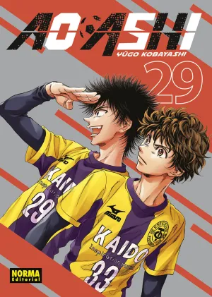 AO ASHI, 29