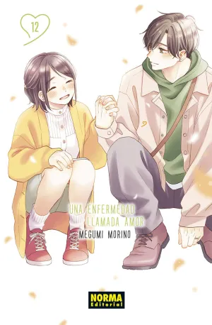 UNA ENFERMEDAD LLAMADA AMOR, 12