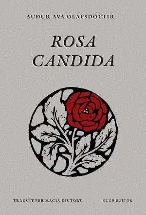 Rosa Candida