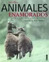ANIMALES ENAMORADOS