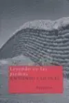LEYENDO EN LAS PIEDRAS