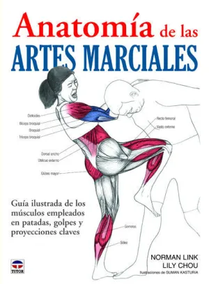 Anatomia Artes Marciales
