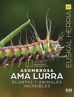 ASOMBROSA AMA LURRA