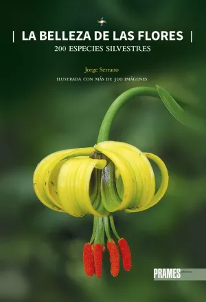 La Belleza de las Flores