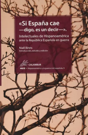 SI ESPAÑA CAE - DIGO, ES UN DECIR -