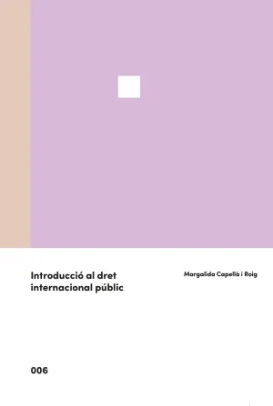 INTRODUCCIO AL DRET INTERNACIONAL PUBLIC