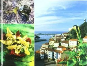 ALGA PALMARIA EN LA GASTRONOMIA. EL ALGA DE CUDILLERO ALGA PALMARIA EN LA GASTRONOMIA. EL ALGA DE CUDILLERO