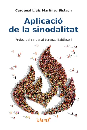 APLICACIÓ DE LA SINODALITAT