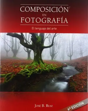 COMPOSICIÓN EN FOTOGRAFÍA COMPOSICIÓN EN FOTOGRAFÍA