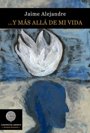 Y Más Allá de mi Vida