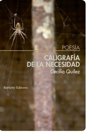 Caligrafía de la Necesidad