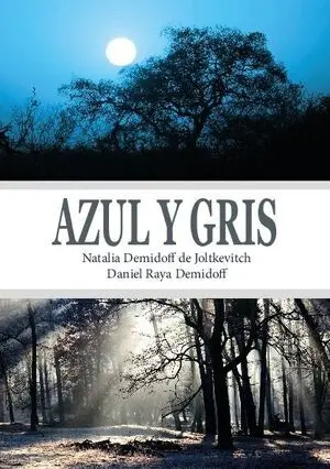 AZUL Y GRIS
