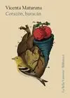 Corazon Huracan