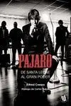 Pajaro. De Santa Leone Al Gran Poder