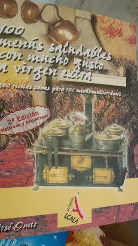 100 MENUS SALUDABLES CON MUCHO GUSTO A VIRGEN EXT