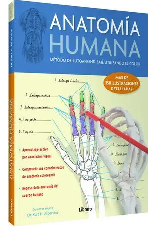 ANATOM¡A HUMANA ( APRENDER CON EL COLOR)