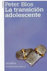 LA TRANSICION ADOLESCENTE. 3ª EDICION