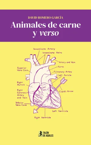 ANIMALES DE CARNE Y VERSO